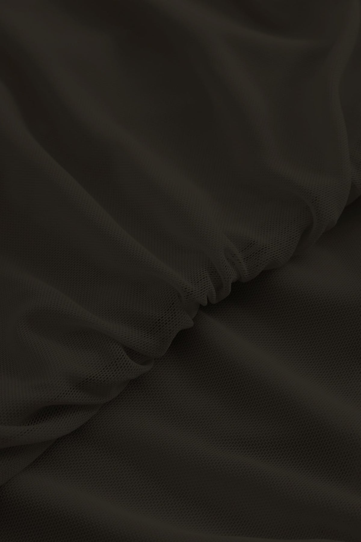 closeup